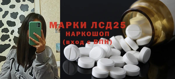 хмурый Алзамай