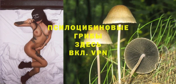 скорость Алексин